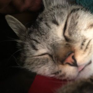 Meet your Posher, Shanelle